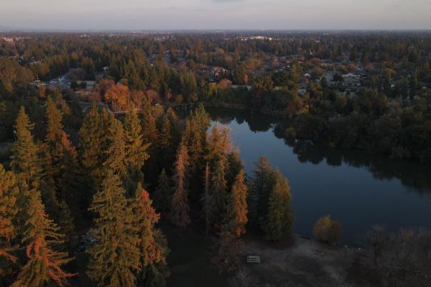 Woodward Park