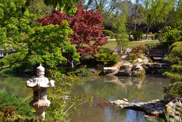 Shinzen Japanese Gardens