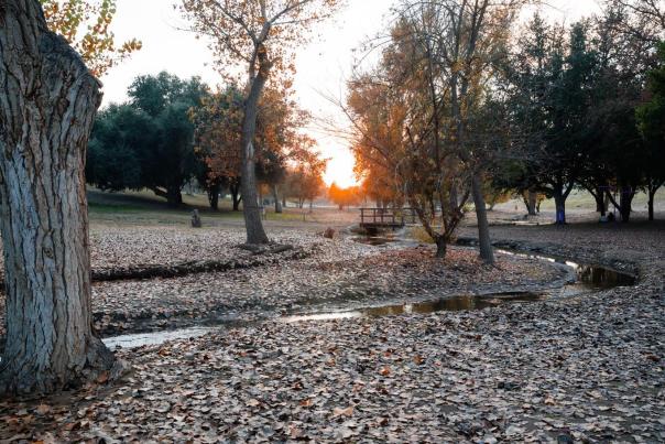 Woodward Park in the Winter (December)