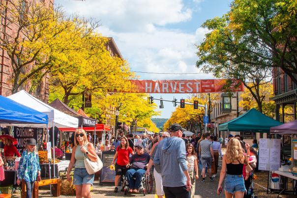 harvest banner street view