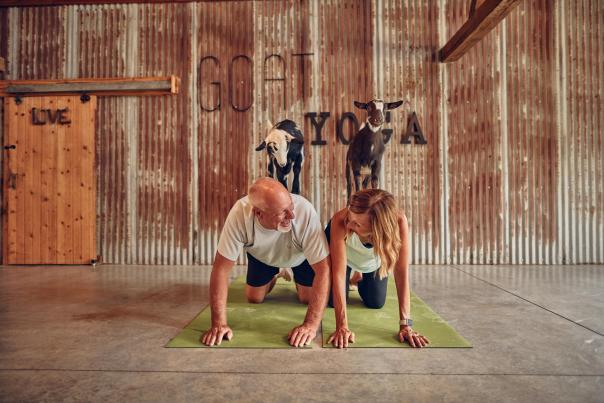 Two people on a yoga mat, each with a goat standing on their backs while they are in a yoga position. Behind them, it says, "Goat Yoga" on the wall.