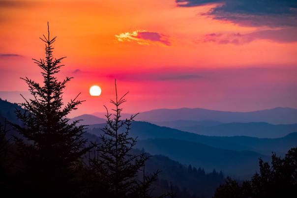 Sunset over mountains and pine trees