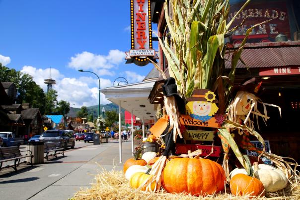Fall in downtown gatlinburg