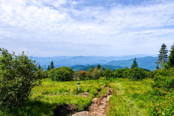 Andrews Bald Trail Near Gatlinburg, TN