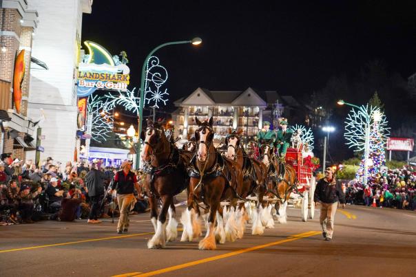 Clydesdales parade
