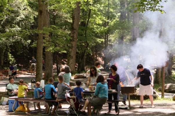 park picnic