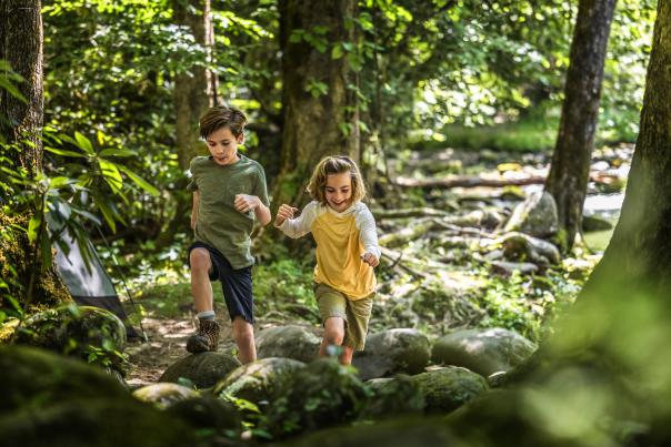 Kids hiking near stream