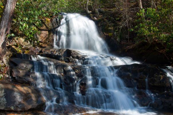 Laurel Falls trail