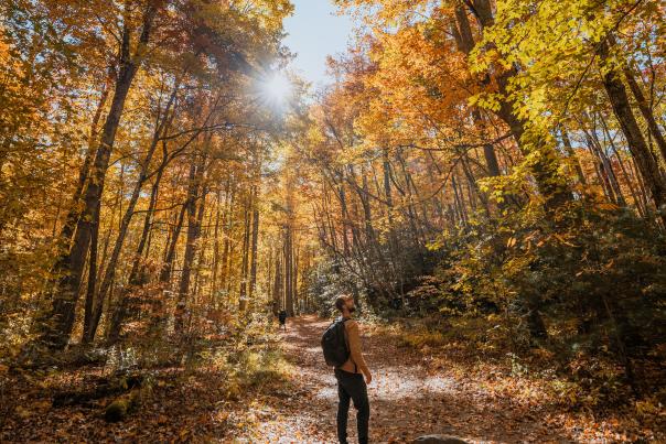 hiking in fall great smoky mountains