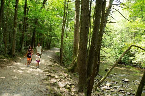 Family hiking gatlinburg trail