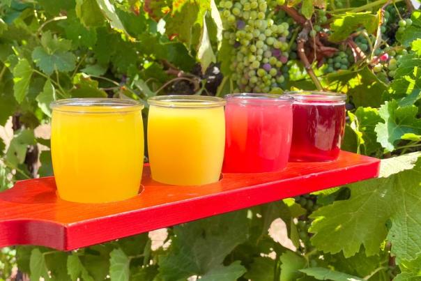 Wine Slushie