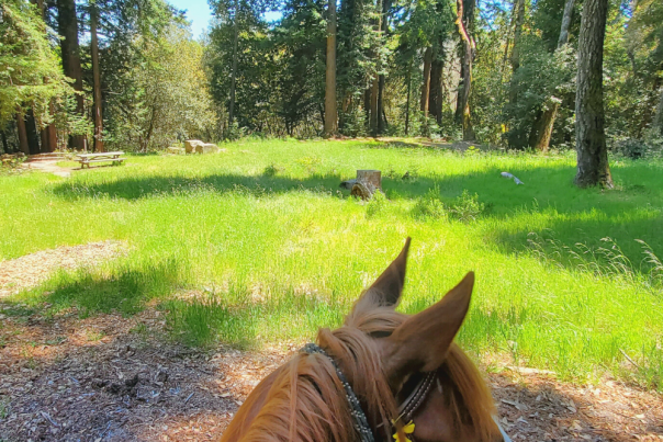 Mount Madonna Stables Horseback riding