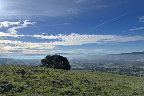 Blue Skies and scattered distant clouds dominate the view of Gilroy from the Mummy Mountain Trail at Coyote Lake County Park.