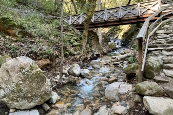 Uvas Canyon bridge over Granuja