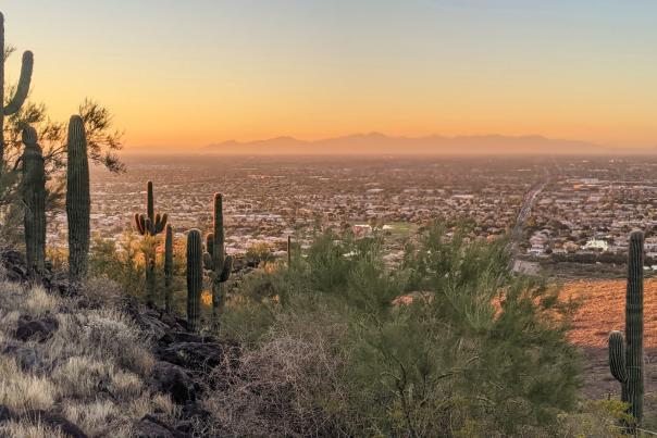 Thunderbird Park golden hour