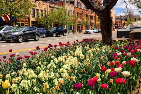 Spring in Downtown Golden