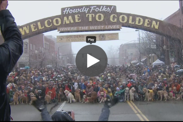 9News Video from Goldens in Golden