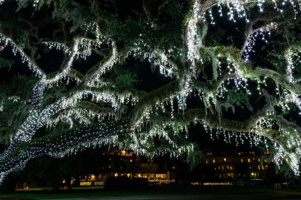 Jekyll Island's Historic District transforms into a dazzling light display each year during the holidays