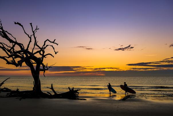 Jekyll Island's iconic Driftwood Beach is especially beautiful at sunrise.