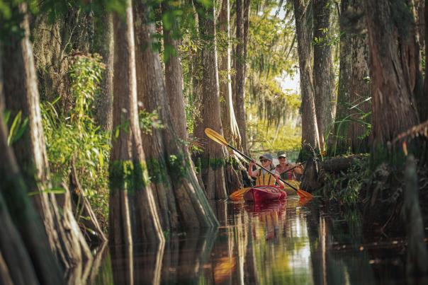 A group kayaking through the Altamaha River