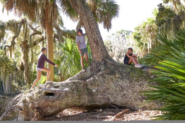 Kids on day trip to Little St. Simons Island