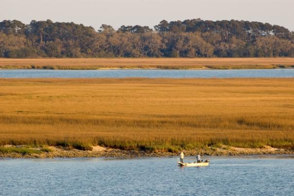 Golden Isles marshes