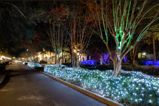 Holiday Lights On The Golden Isles