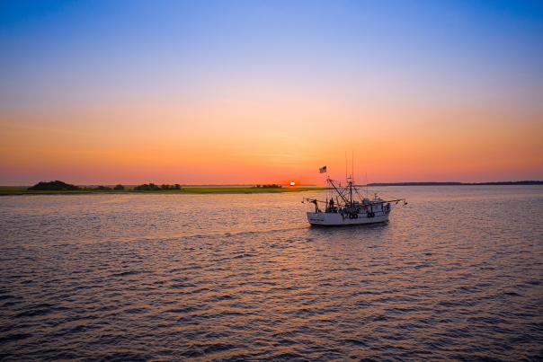 The Golden Isles is known for some of the best local seafood in Georgia.