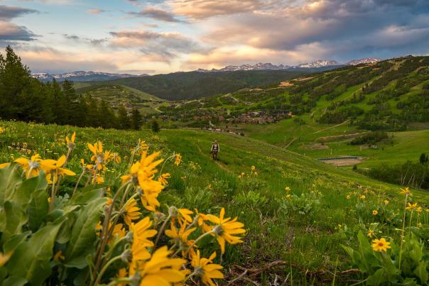 Granby, Colorado - Granby Ranch Wildflowers and Hiking
