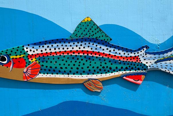 Mural Fish Art