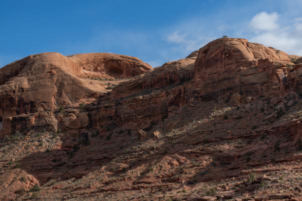 Landscape Shot; Amasa Back