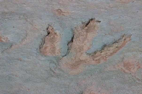 Mill_Canyon_Dinosaur_Tracksite-Robert_Riberia-web-size