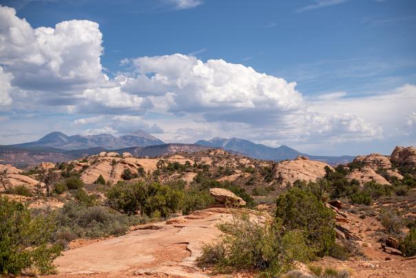 Sand Flats landscape