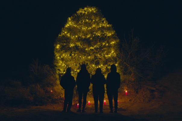 Holidays Sandflats Tree 2