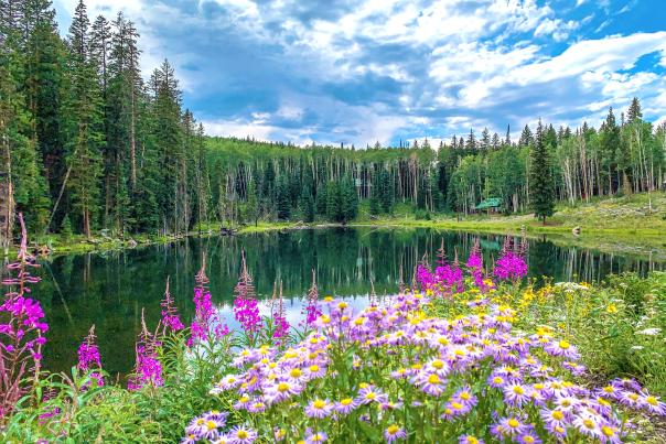 Nature's Trifecta: The Grand Mesa