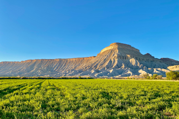 Mount Garfield