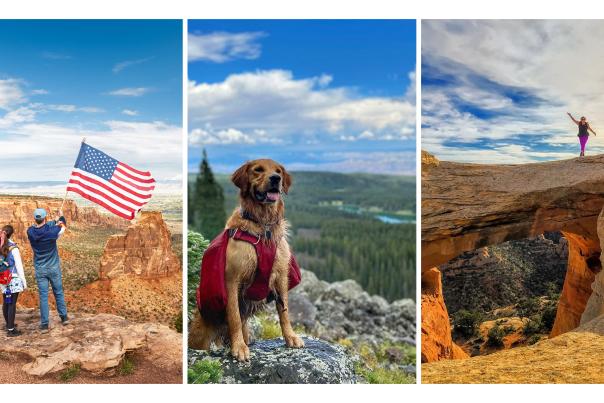 Nature's Trifecta - Blog Page Cover Image