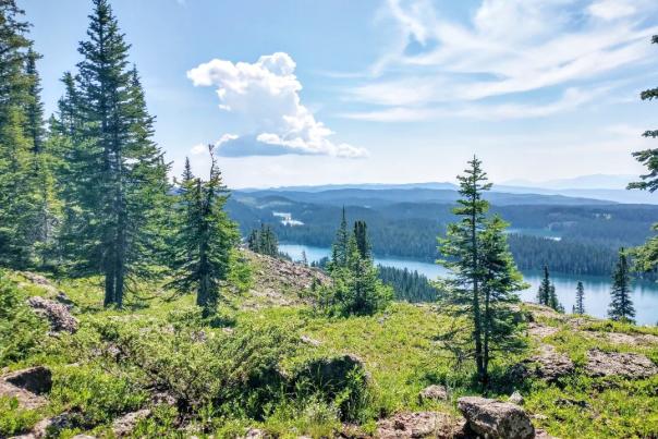 View from County Line Trail on the Grand Mesa