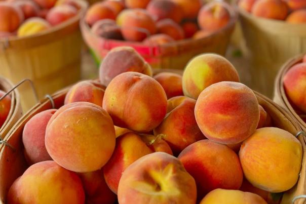 Baskets of Palisade Peaches