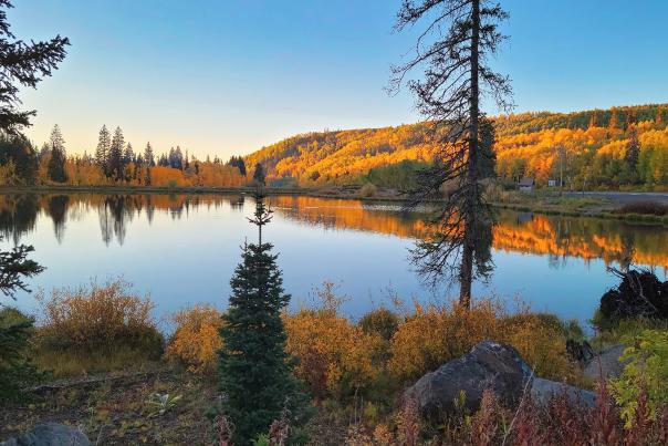 View of Fall Colors around a lake on the Grand Mesa