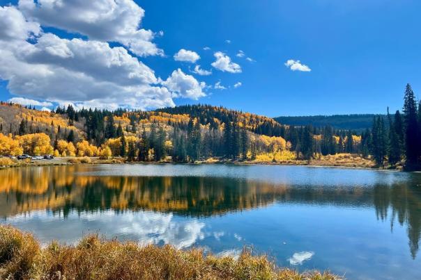 View of a Lake on the Grand Mesa with Fall Colors