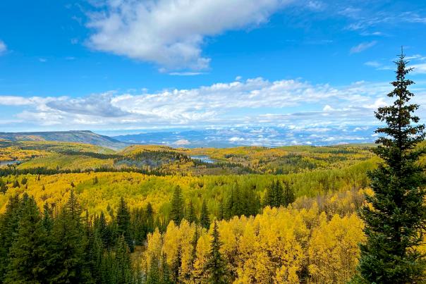 View of the Grand Mesa in the Fall