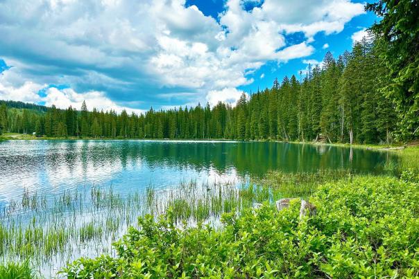 View of Lake on the Grand Mesa