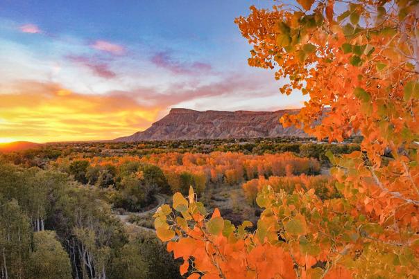 Fall Colors with Mt. Garfield in the background during Sunset