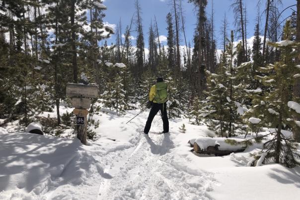 XC Skiing on Shadow Mountain Trail