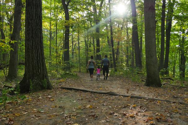 一家人在阿曼公园的森林里徒步旅行。