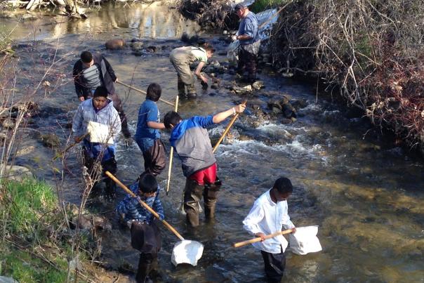 Grand Rapids students participating in the "Teach for the Watershed" program at WMEAC.