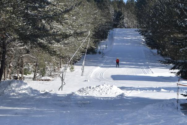 Forbush Corners Trail