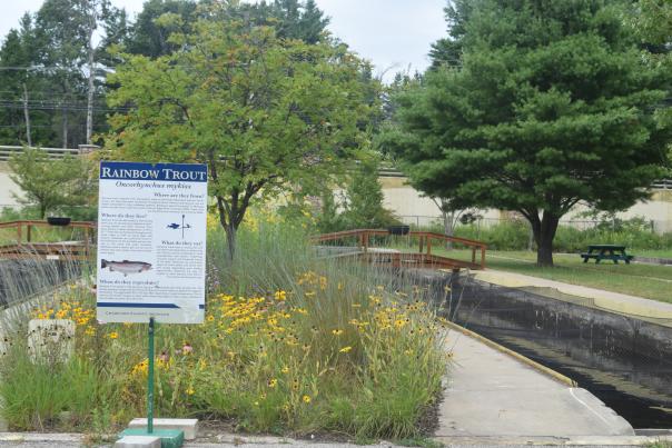 Fish Hatchery 2025 runway and sign