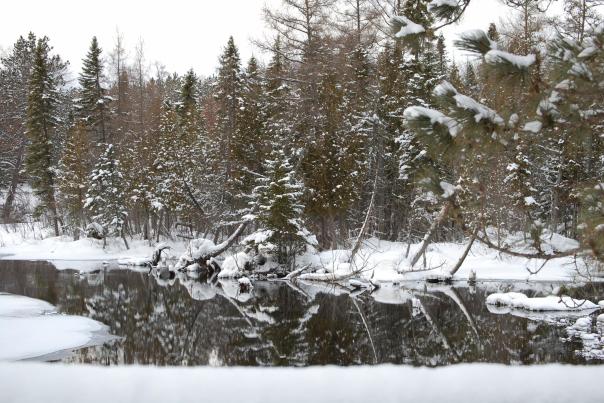 AuSable River Winter